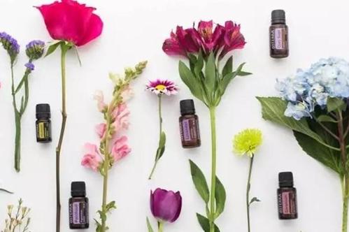 关于芳香疗法是什么,是干什么的,基础知识普及