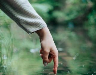 香草的物种能量,8个心灵自我拯救疗愈法!