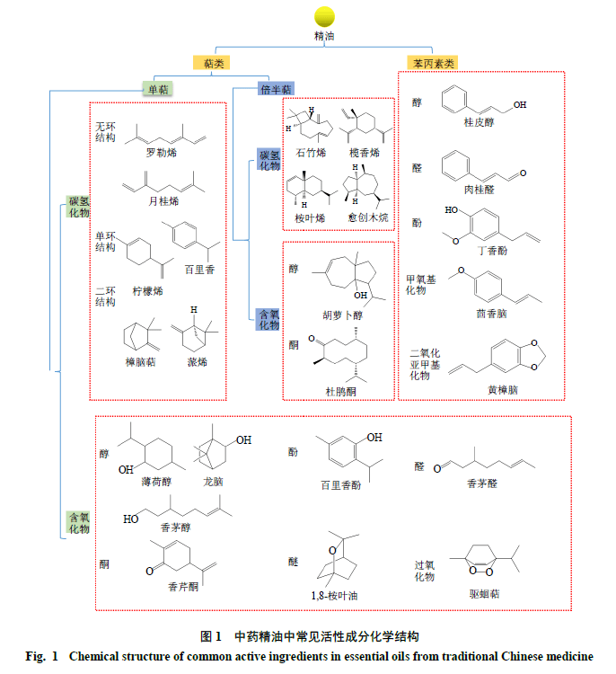 纳米制剂技术改善中药精油稳定性的研究进展与思考