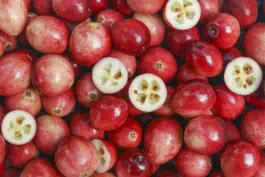 蔓越莓籽,蓝莓籽,草莓籽三莓护理油