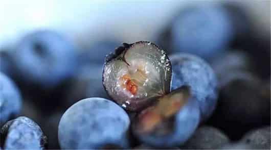 蔓越莓籽,蓝莓籽,草莓籽三莓护理油