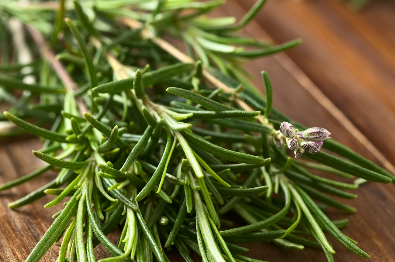 放松精油推荐|八款帮助正念减压的精油,用花草气息安定抚慰、自我疗愈