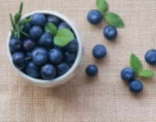 蓝莓树苗多少钱一棵（种苗多少钱一棵）