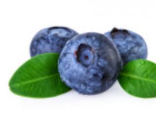 蓝莓树苗多少钱一棵（种苗多少钱一棵）