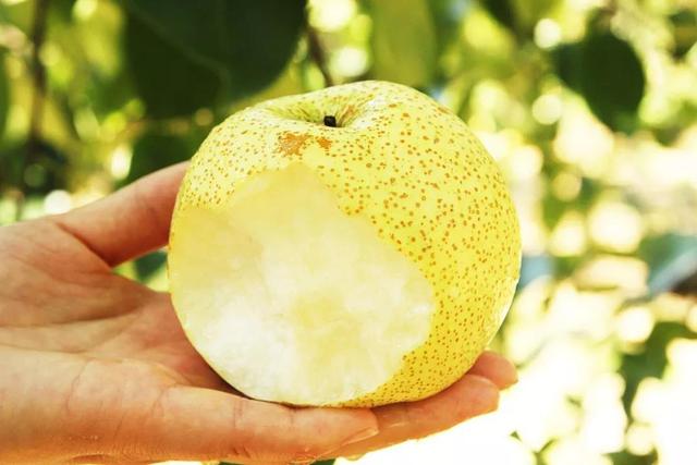 秋天最应季的3种水果,吃对了养脾胃还养肺,错过又要等1年
