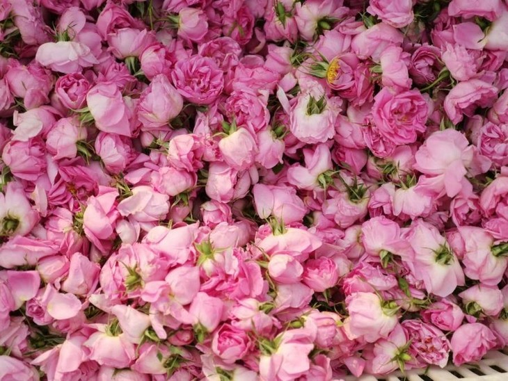 纯露全攻略:12种纯露用法让你由内而外都水嫩透亮