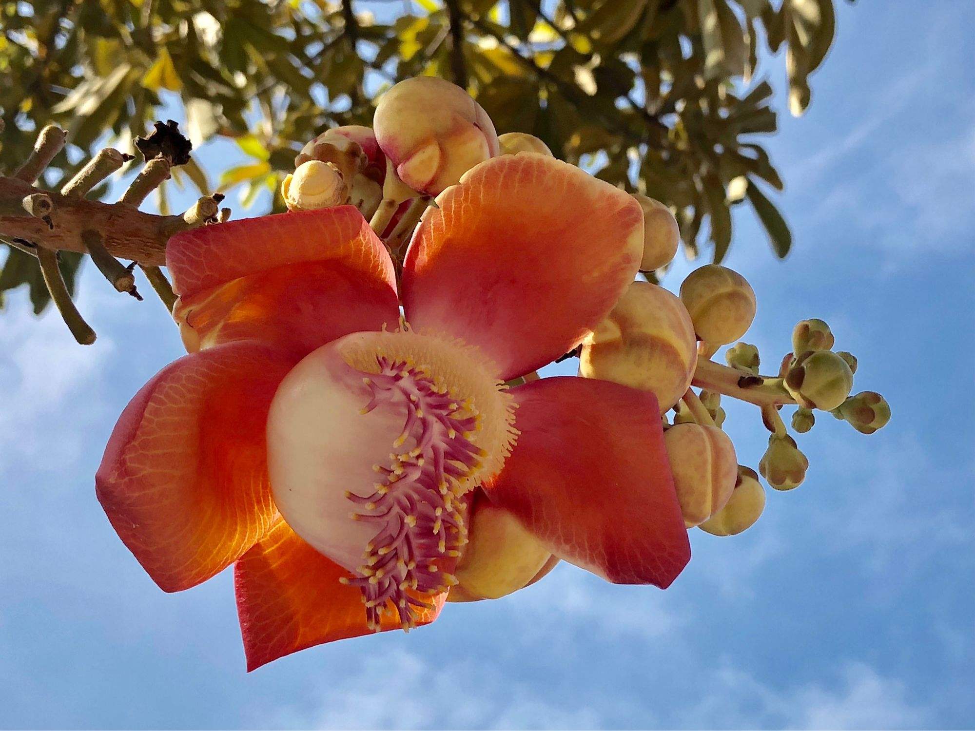 纯露全攻略:12种纯露用法让你由内而外都水嫩透亮