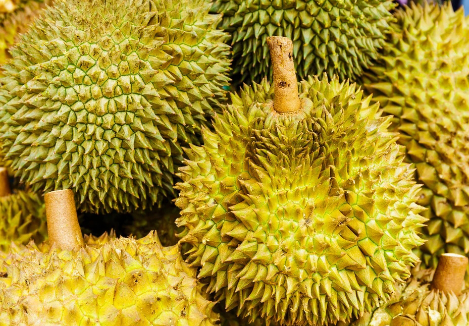 榴莲都有那些营养价值和作用呢?