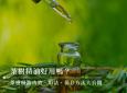 茶树精油是什么？本篇将介绍茶树精油功效、茶树精油禁忌，并教你如何延长茶树精油保存期限。想找适合的茶树精油推荐产品？看这篇茶树油懒人包就对了