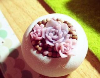 多肉植物怎么养？多肉植物常见问题解答