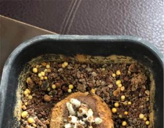 月宴常见问题及解决办法