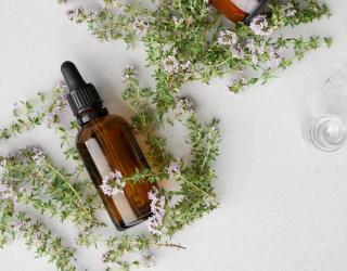 精油都哪有那些提取方式，精油提取攻略