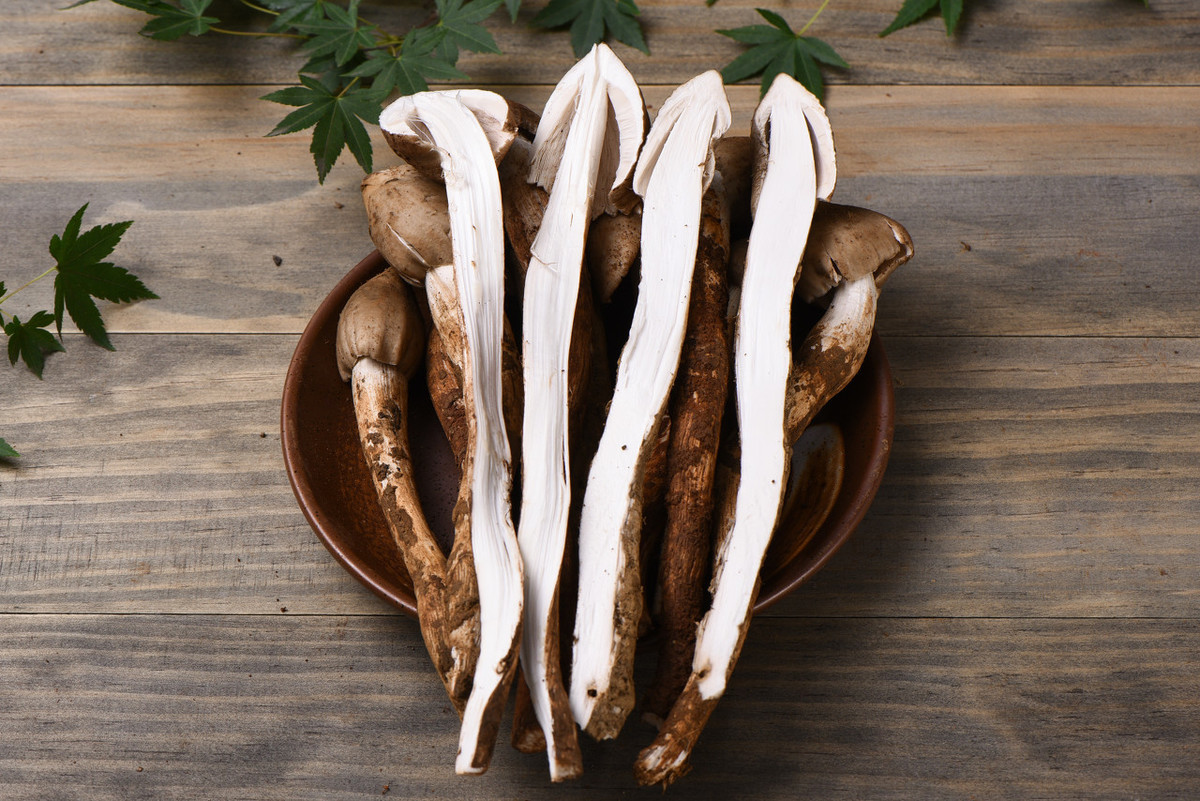 鸡枞菌地耳的功效与作用(地耳的功效与作用,让你拥有健康美丽的头发)