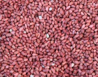 秋天，这道“四红汤”别忘了给家人喝，滋阴降秋燥，做法超简单