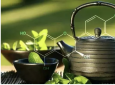 EGCG的功效与作用：解析绿茶中的神奇成分