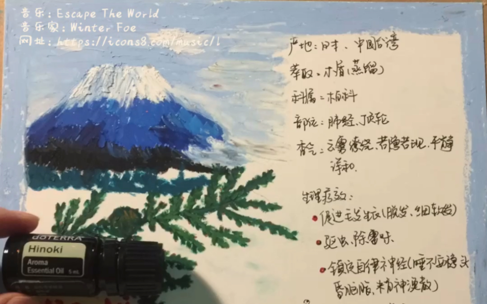 日本扁柏精油功效(扁柏精油:祛湿止痛,抗菌消炎,改善呼吸问题)