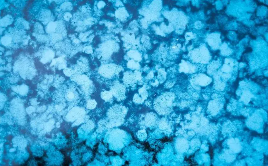 尘埃水的功效_神奇的尘埃水,让你的家庭健康亮丽