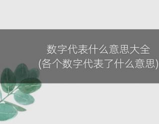 数字代表什么意思大全(各个数字代表了什么意思)