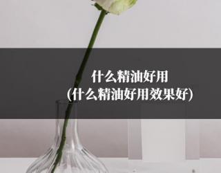 什么精油好用(什么精油好用效果好)