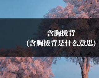 含胸拔背(含胸拔背是什么意思)