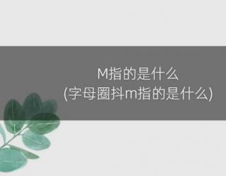 M指的是什么(字母圈抖m指的是什么)
