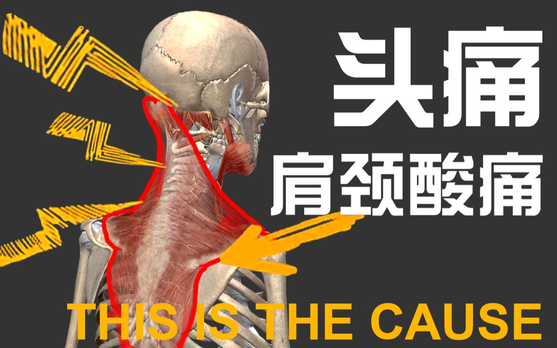 南娜面颈膜功效(南娜面颈膜,让你的肌肤水润紧致)