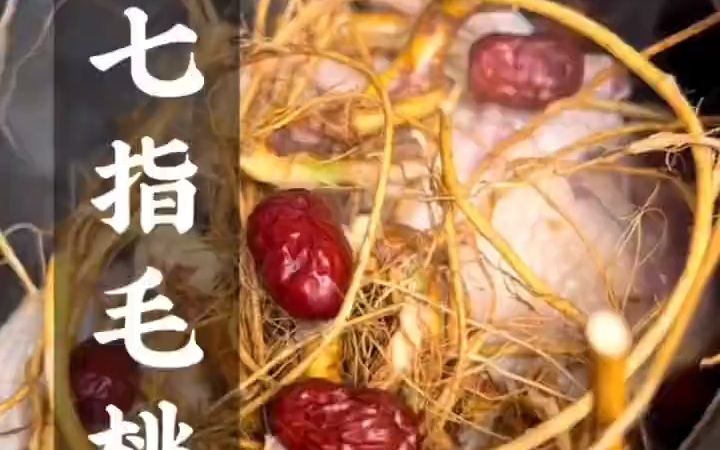 山毛桃的功效与作用(山毛桃的功效与作用,让你更健康)