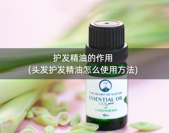 护发精油的作用(头发护发精油怎么使用方法)