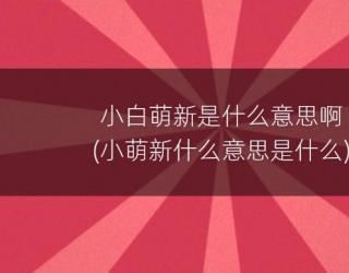 小白萌新是什么意思啊(小萌新什么意思是什么)