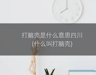 打脑壳是什么意思四川(什么叫打脑壳)