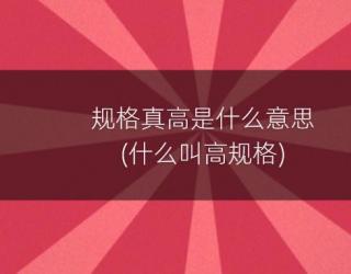 规格真高是什么意思(什么叫高规格)