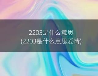 2203是什么意思(2203是什么意思爱情)