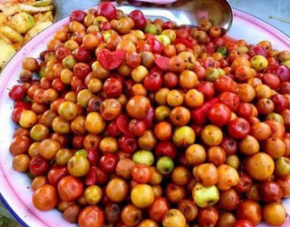 西西果是什么水果(青果是什么水果)