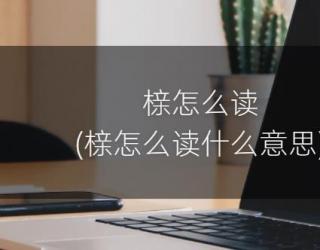 榇怎么读(榇怎么读什么意思)