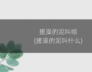 搓澡的泥叫啥(搓澡的泥叫什么)