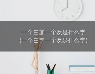 一个白加一个反是什么字(一个白字一个反是什么字)