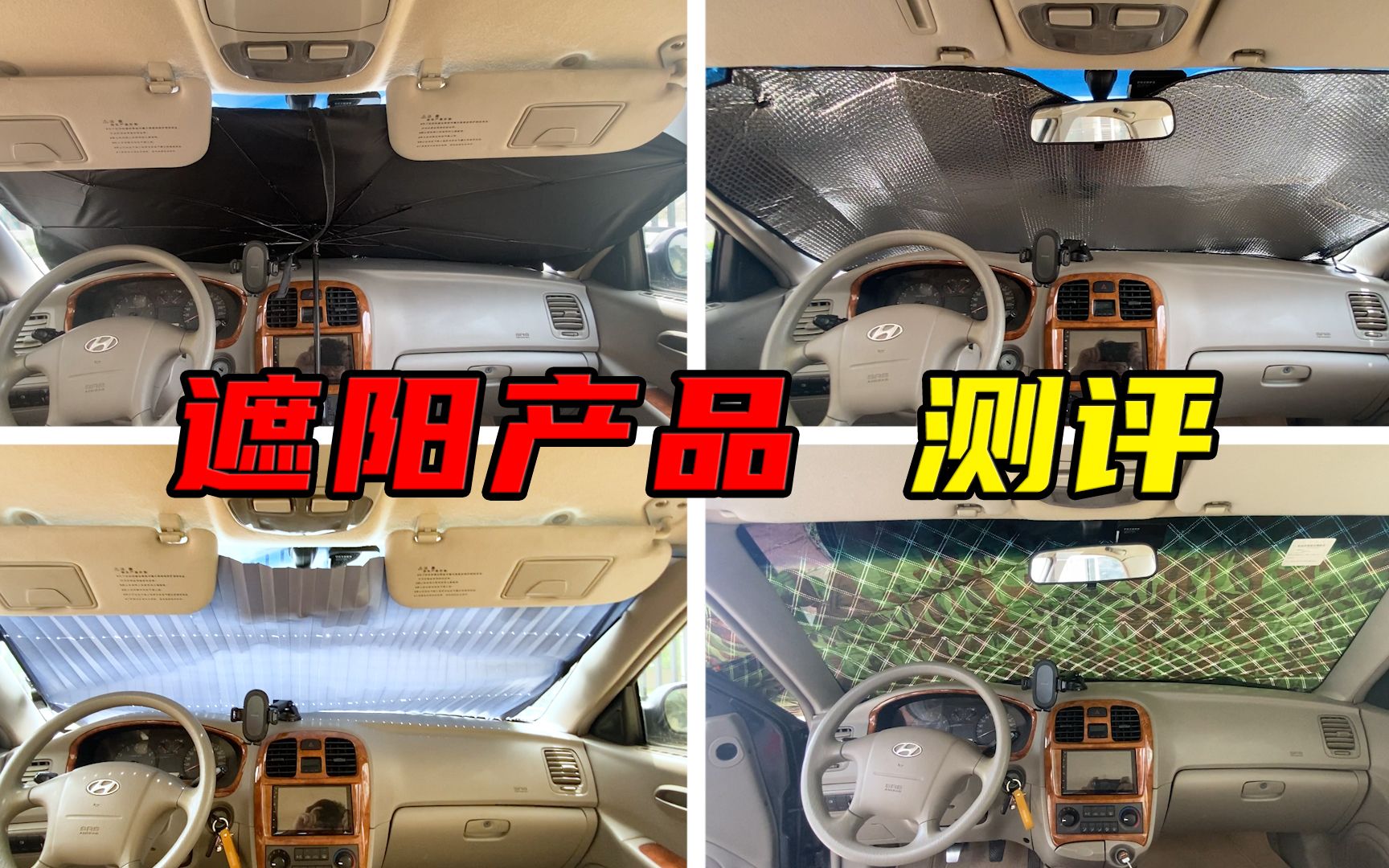 太阳菜的功效与作用(太阳菜的功效与作用,让你拥有健康的阳光体魄)