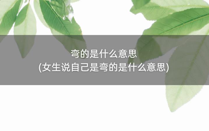 弯的是什么意思(女生说自己是弯的是什么意思)
