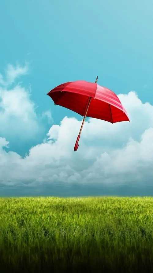 芳香知识,来看看我手上的香料图。