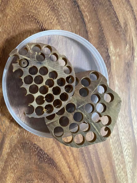 芳香知识,来看看我手上的香料图。