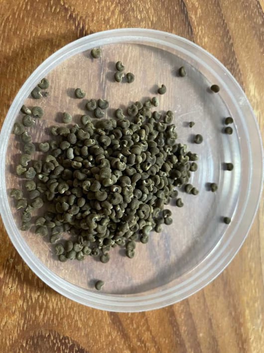 芳香知识,来看看我手上的香料图。