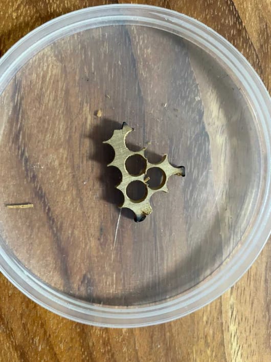 芳香知识,来看看我手上的香料图。