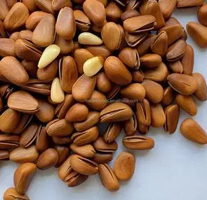 松子壳的功效与作用(松子壳的功效与作用,助您健康美丽)