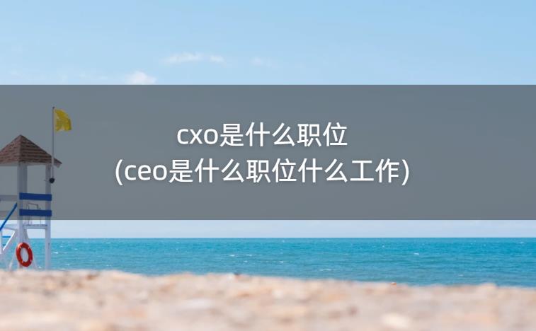 cxo是什么职位(ceo是什么职位什么工作)