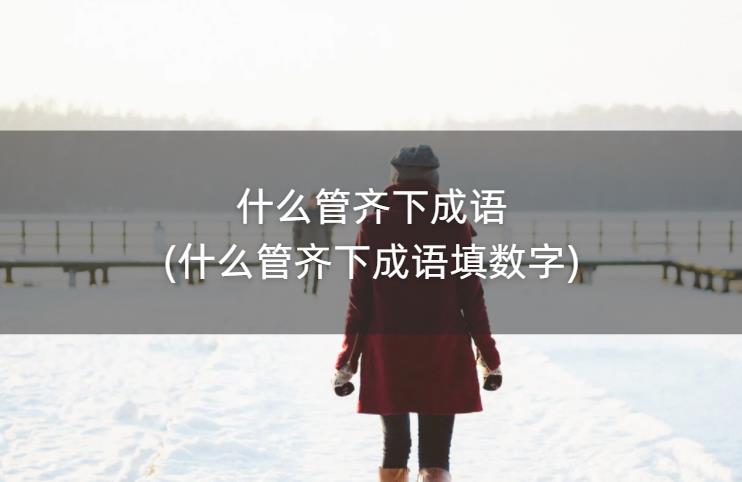 什么管齐下成语(什么管齐下成语填数字)