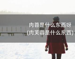 肉蓉是什么东西呀(肉芙蓉是什么东西)