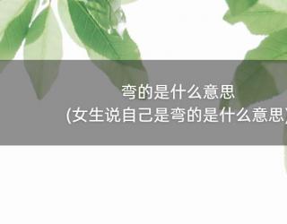 弯的是什么意思(女生说自己是弯的是什么意思)