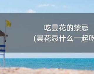 吃昙花的禁忌(昙花忌什么一起吃)