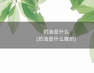 奶油是什么(奶油是什么做的)