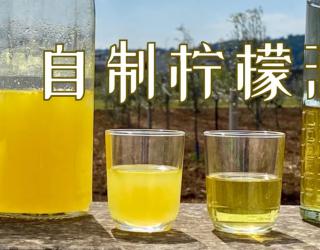 柠檬酒的做法和功效(手工柠檬酒制作方法及功效)